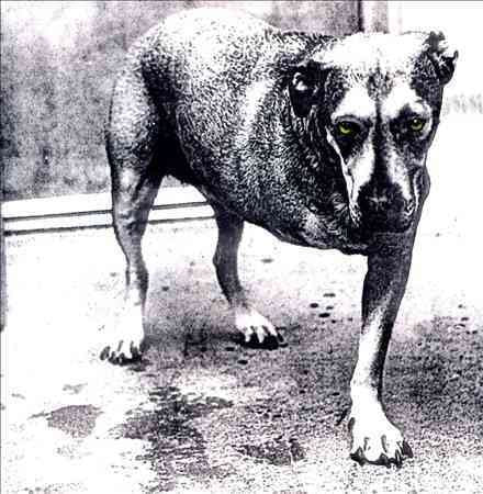 Alice in Chains - Alice In Chains