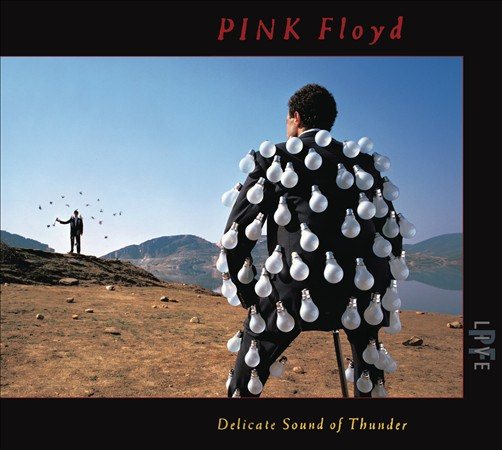 Delicate Sound Of Thunder (Live) (Digipack Packaging) (2 Cd's) - Pink Floyd