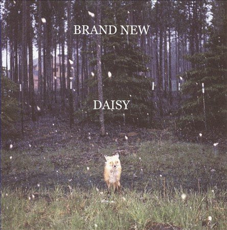 DAISY - Brand New