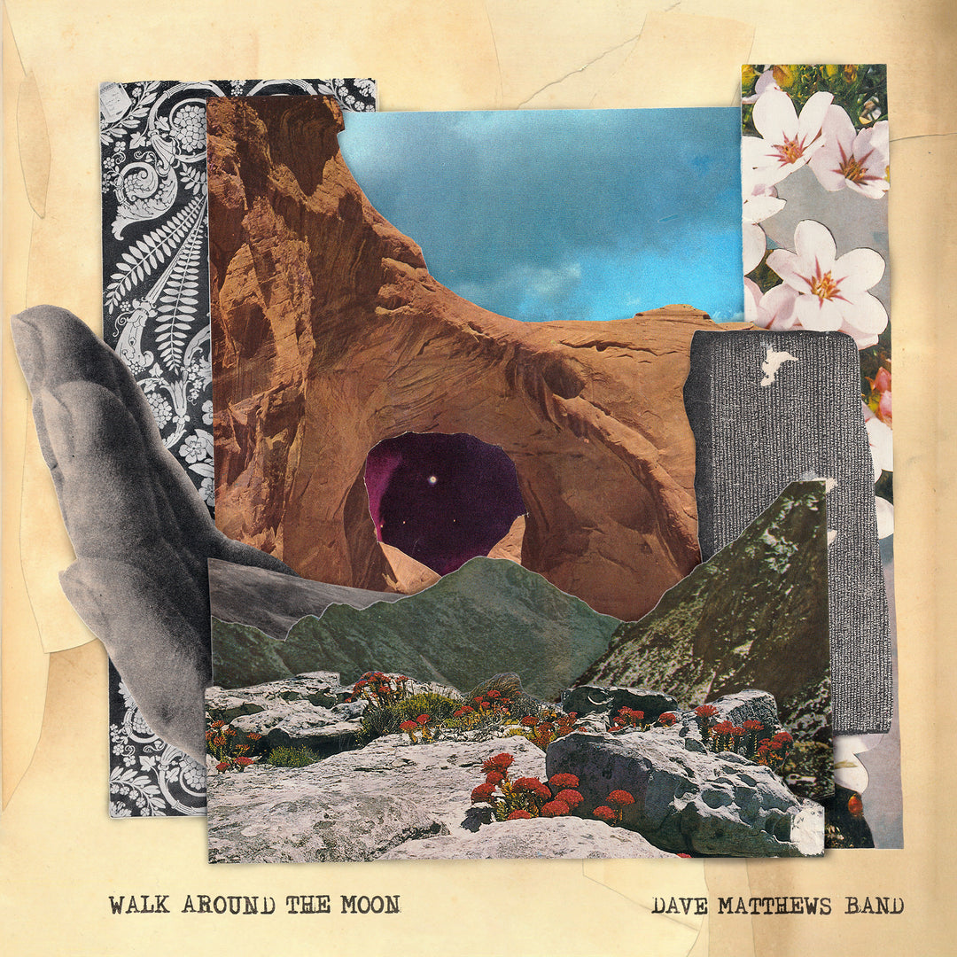 Walk Around The Moon (Wide Vinyl, Black) - Dave Matthews Band