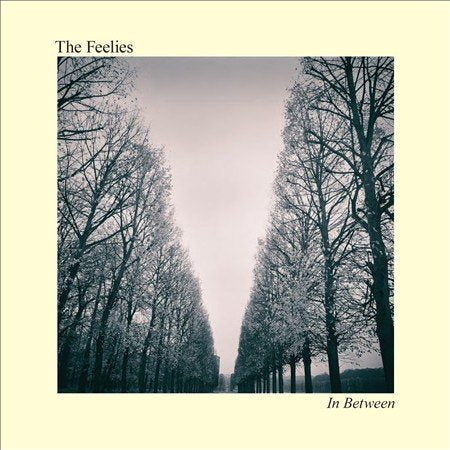 IN BETWEEN - Feelies