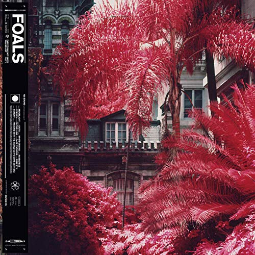 Everything Not Saved Will Be Lost [Part 1] (LP) - Foals