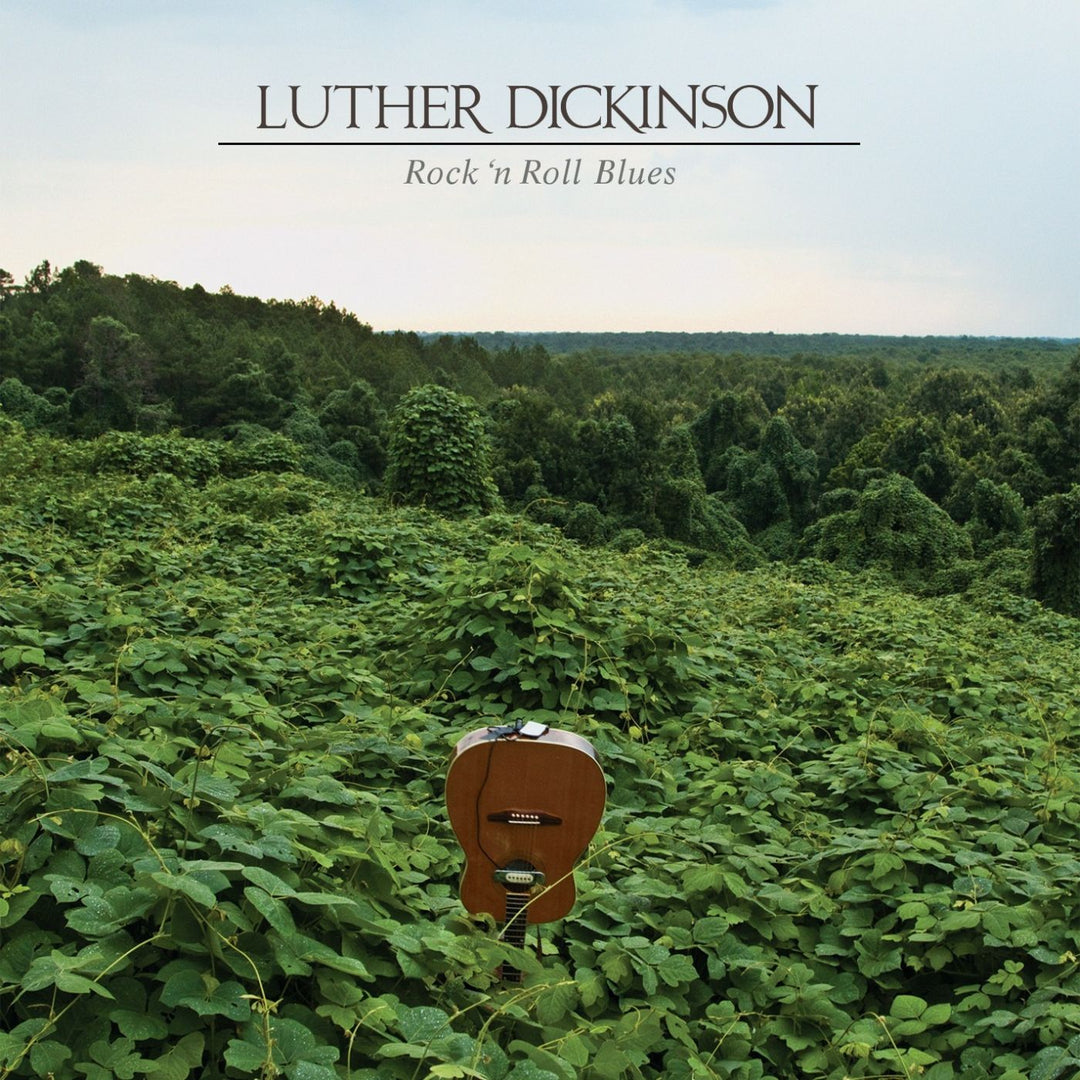 Rock 'N Roll Blues - Luther Dickinson