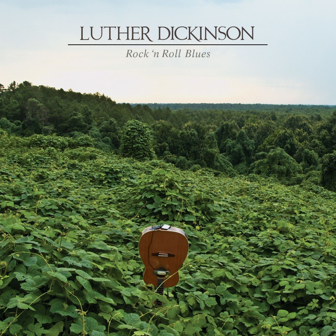 Rock 'N Roll Blues - Luther Dickinson