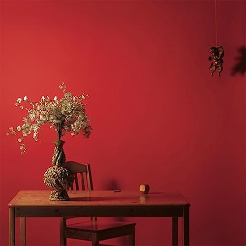 Watching Movies with the Sound Off (10 Year Anniversary Edition) (180 Gram Vinyl, Bonus Tracks, Picture Disc Vinyl, Gatefold LP Jacket) (2 Lp's) - Mac Miller