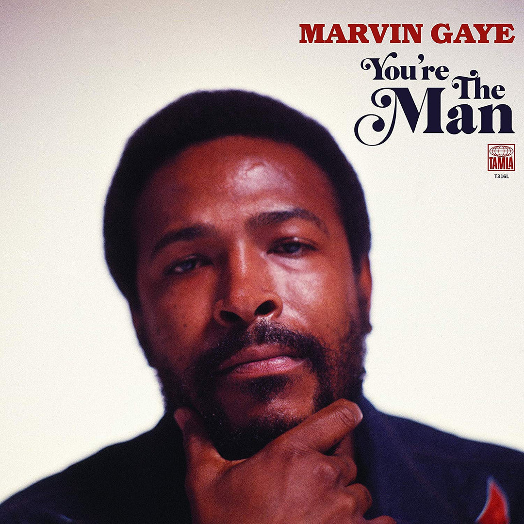 You're The Man - Marvin Gaye