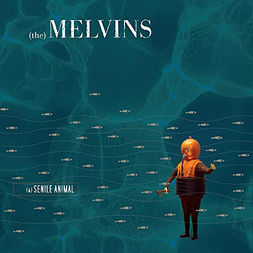 (A) Senile Animal - MELVINS