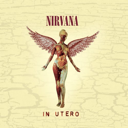 IN UTERO (20TH ANNIVERSARY EDITION) - Nirvana