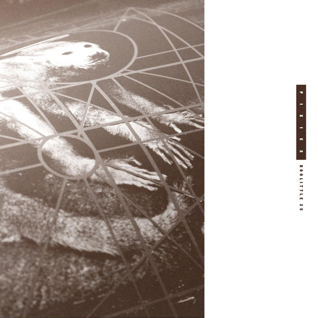 DOOLITTLE 25: B-SIDES PEEL SESSIONS & DEMOS - Pixies