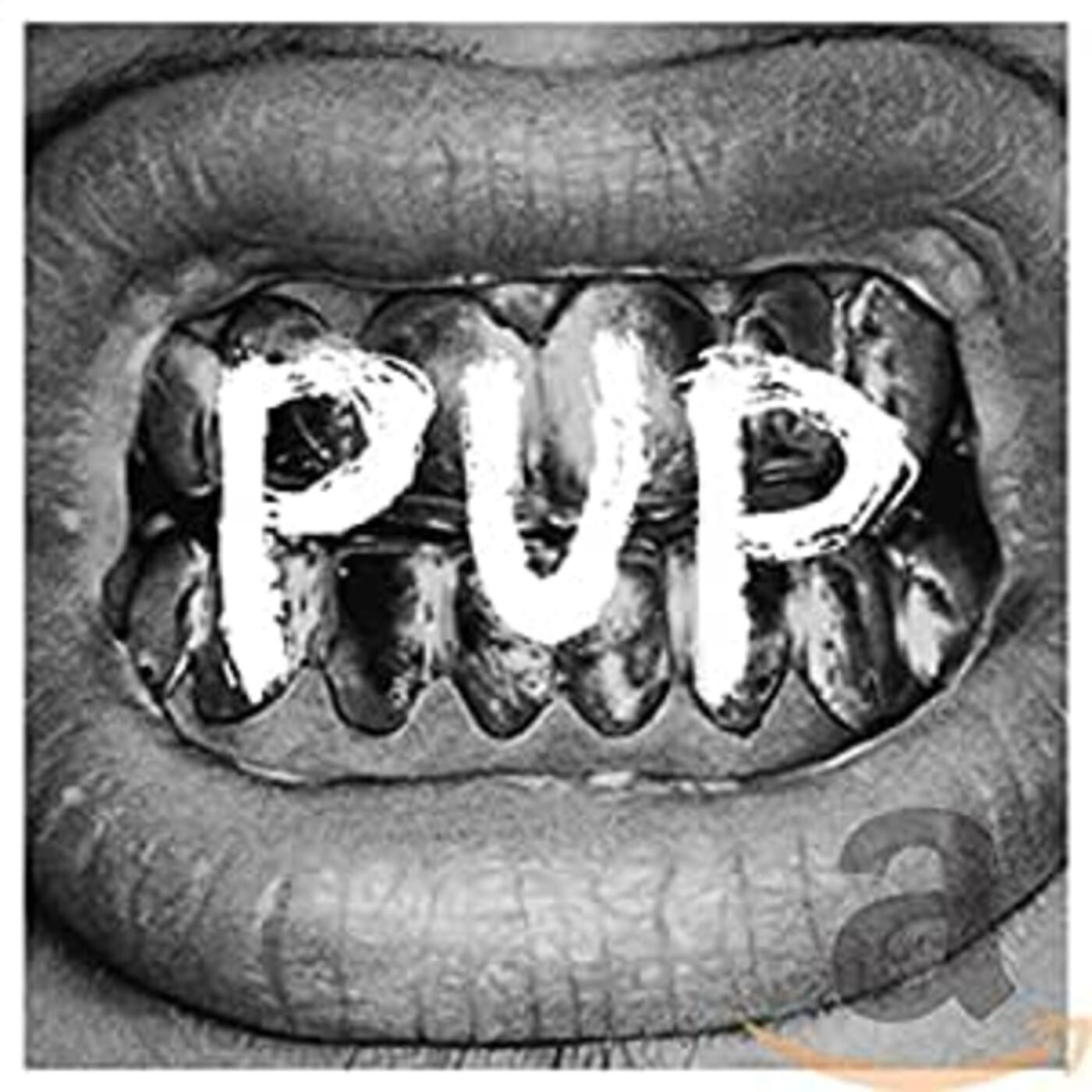 Pup - PUP