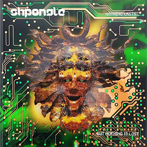 Nothing Lasts… But Nothing Is Lost [2 LP] - Shpongle