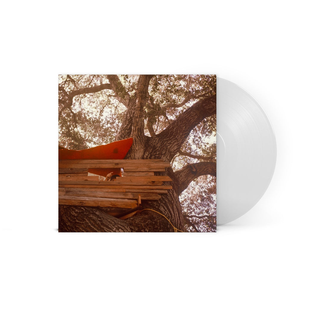 Waiting To Spill (Indie Exclusive, Clear Vinyl) - The Backseat Lovers