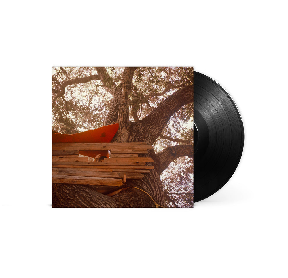 Waiting To Spill [LP] - The Backseat Lovers