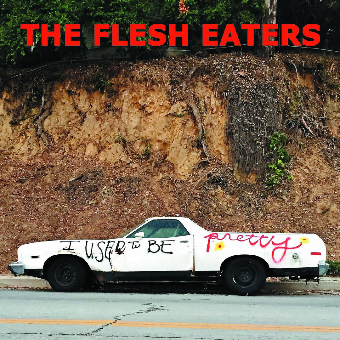 I Used To Be Pretty - The Flesh Eaters