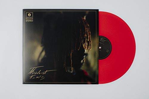 It Is What It Is (Colored Vinyl, Red, 140 Gram Vinyl, Photos) - Thundercat