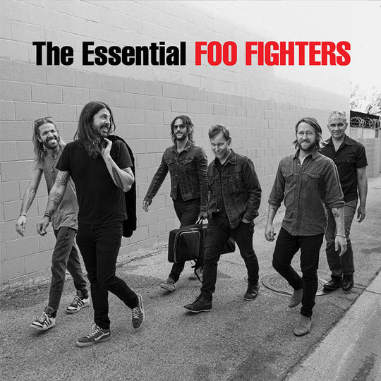 The Essential Foo Fighters (Gatefold LP Jacket, 140 Gram Vinyl) (2 Lp's) - Foo Fighters